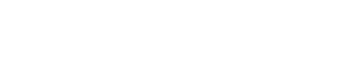 EL NINJA